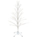 32606084 Holiday/Christmas/Christmas Trees
