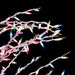 32606088 Holiday/Christmas/Christmas Trees