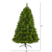 T1615 Holiday/Christmas/Christmas Trees