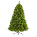 T1615 Holiday/Christmas/Christmas Trees