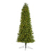 T1492 Holiday/Christmas/Christmas Trees