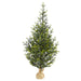 T1865 Holiday/Christmas/Christmas Trees