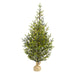 T1865 Holiday/Christmas/Christmas Trees