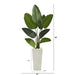 T1309 Decor/Faux Florals/Plants & Trees