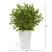 P1479 Decor/Faux Florals/Plants & Trees