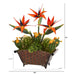 P1356 Decor/Faux Florals/Plants & Trees