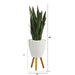 T1285 Decor/Faux Florals/Plants & Trees