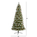 T1630 Holiday/Christmas/Christmas Trees