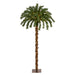 T1450 Holiday/Christmas/Christmas Trees