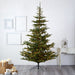 T1885 Holiday/Christmas/Christmas Trees
