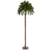 T1453 Holiday/Christmas/Christmas Trees