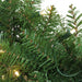 31748453 Holiday/Christmas/Christmas Wreaths & Garlands & Swags