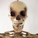 32256596 Holiday/Halloween/Halloween Indoor Decor