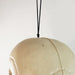 32256596 Holiday/Halloween/Halloween Indoor Decor