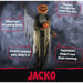 HHPUMP-2FLS Holiday/Halloween/Halloween Outdoor Decor