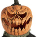 HHPUMP-2FLS Holiday/Halloween/Halloween Outdoor Decor