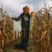 HHPUMP-2FLS Holiday/Halloween/Halloween Outdoor Decor