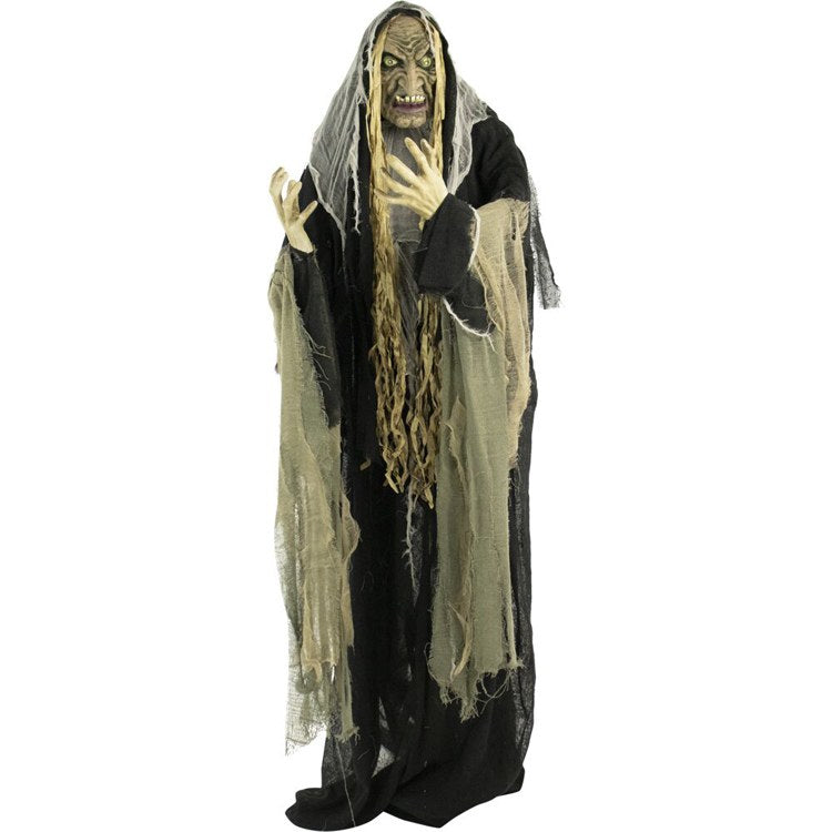 Product Image: HHWITCH-10FLSA Holiday/Halloween/Halloween Outdoor Decor