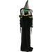 HHWITCH-9FLS Holiday/Halloween/Halloween Outdoor Decor