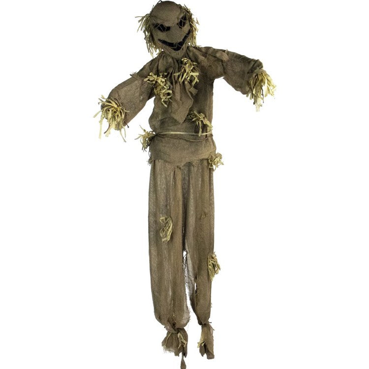 Product Image: HHPUMP-3FLS Holiday/Halloween/Halloween Outdoor Decor
