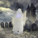 HHGHST-1HLS Holiday/Halloween/Halloween Outdoor Decor