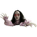 HHGBLADY-1LSA Holiday/Halloween/Halloween Outdoor Decor