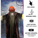 HHPUMP-4FLS Holiday/Halloween/Halloween Outdoor Decor