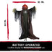 HHPUMP-4FLS Holiday/Halloween/Halloween Outdoor Decor