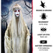 HHLADY-2FLSA Holiday/Halloween/Halloween Outdoor Decor