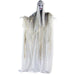HHLADY-2FLSA Holiday/Halloween/Halloween Outdoor Decor
