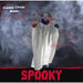 HHCLOWN-14HLSA Holiday/Halloween/Halloween Outdoor Decor