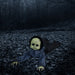HHGBBOY-1LSA Holiday/Halloween/Halloween Outdoor Decor