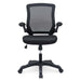 EEI-825-BLK Decor/Furniture & Rugs/Chairs