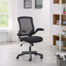 EEI-825-BLK Decor/Furniture & Rugs/Chairs