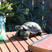 XCA-611 Outdoor/Lawn & Garden/Garden Decor