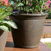 DG-844-2PK Outdoor/Lawn & Garden/Planters