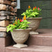 DG-783-2PK Outdoor/Lawn & Garden/Planters