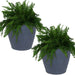DG-758-2PK Outdoor/Lawn & Garden/Planters