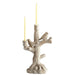 09020 Decor/Candles & Diffusers/Candle Holders