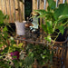 HMI-757 Outdoor/Lawn & Garden/Planters