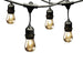 72041 Lighting/Outdoor Lighting/Outdoor String Lights