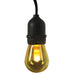 SL12-6/FLAME Lighting/Outdoor Lighting/Outdoor String Lights