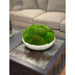 CDTR1401 Decor/Faux Florals/Plants & Trees