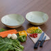 RM15-9604 Dining & Entertaining/Dinnerware/Dinner Bowls