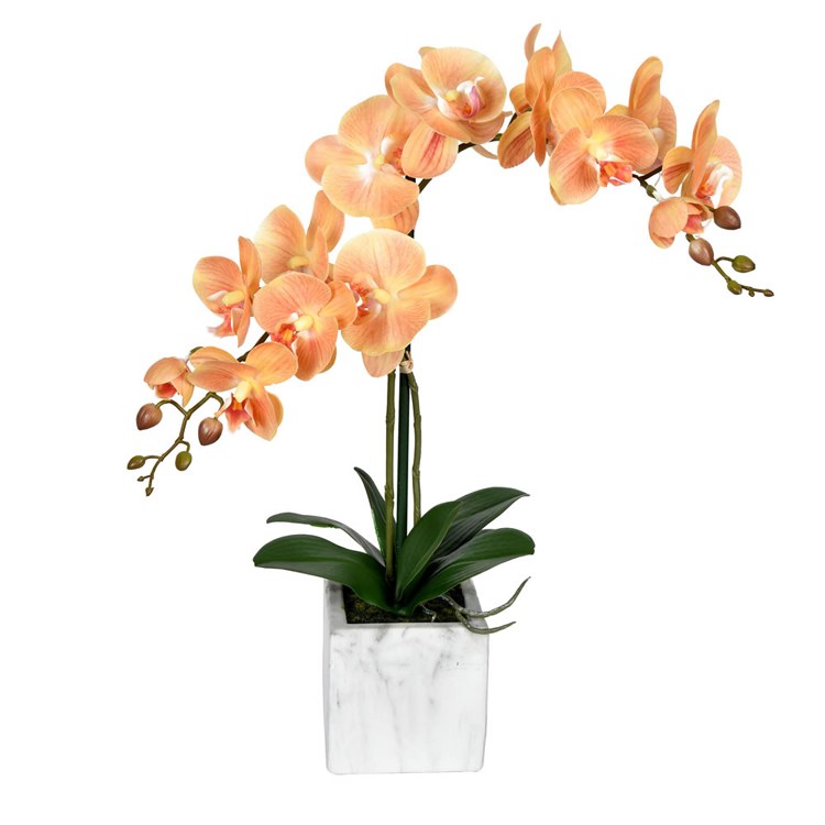 Product Image: FN190402 Decor/Faux Florals/Floral Arrangements