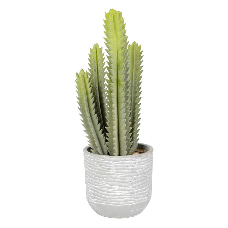 Product Image: FH181301 Decor/Faux Florals/Plants & Trees