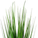 TN170536 Decor/Faux Florals/Plants & Trees