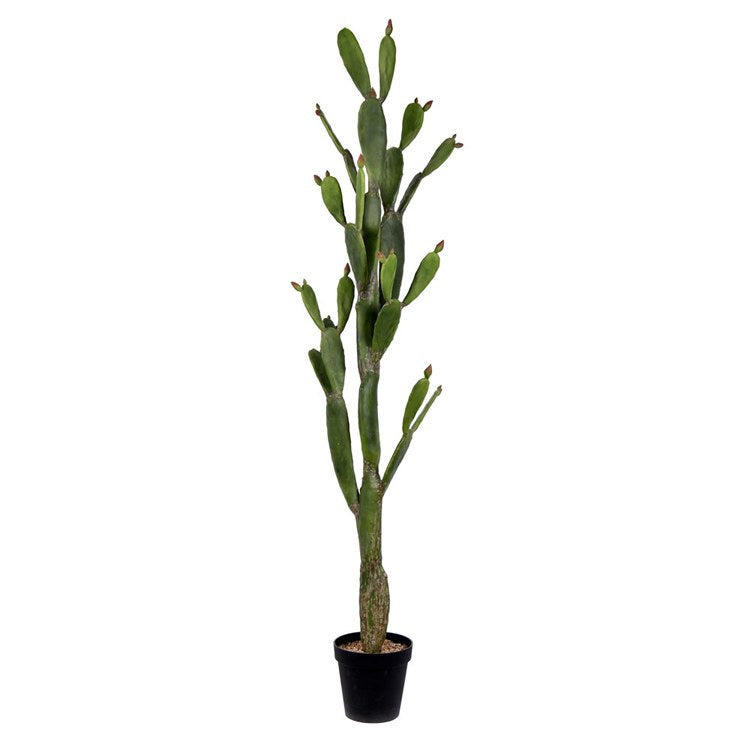 Product Image: FE191480 Decor/Faux Florals/Plants & Trees