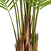 TB190780 Decor/Faux Florals/Plants & Trees