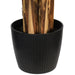 TB190780 Decor/Faux Florals/Plants & Trees